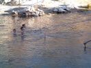 Mammoth Hot Springs